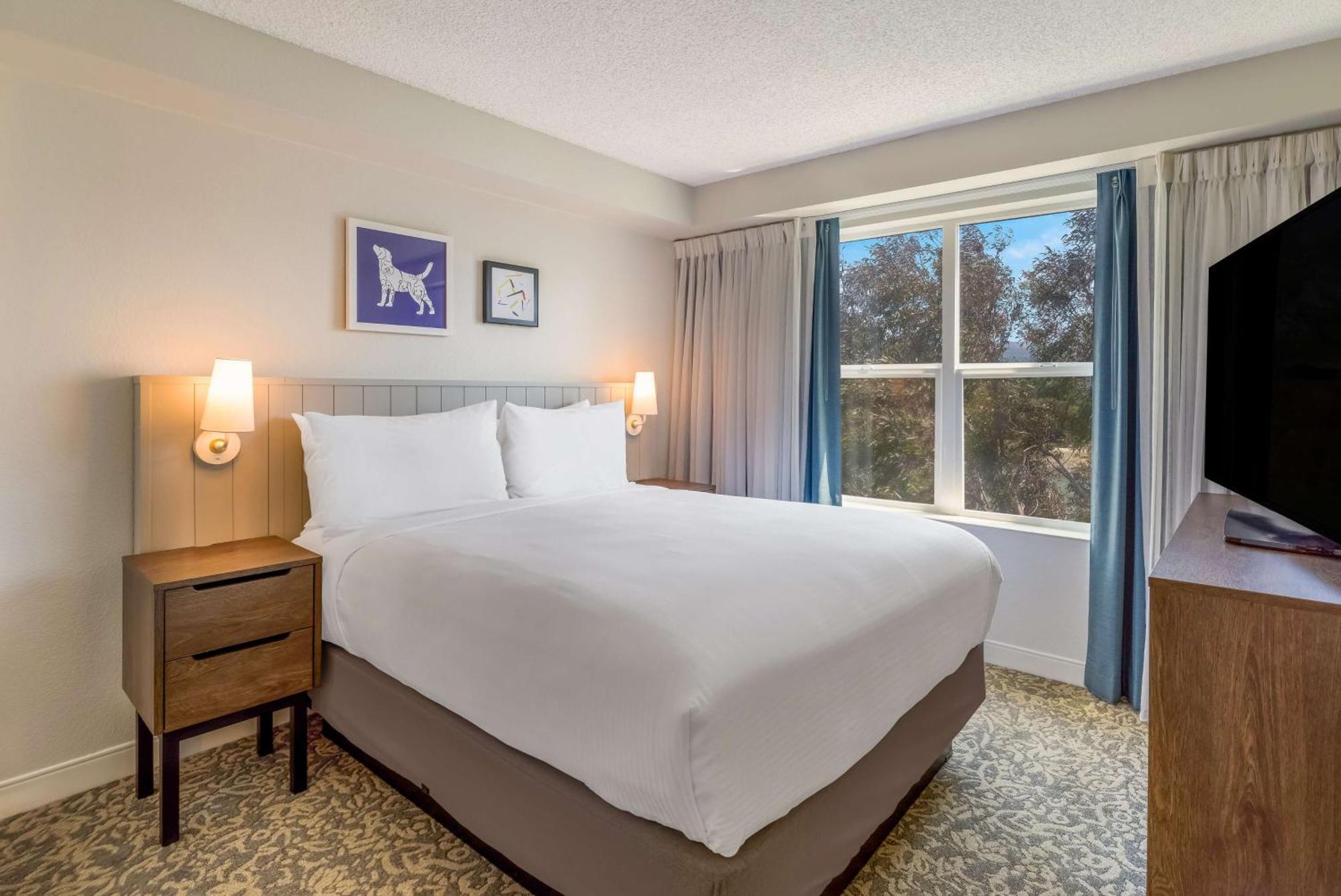 Sonesta Es Suites San Francisco Airport Oyster Point Waterfront South San Francisco Eksteriør billede